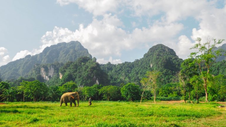 Khao Sok National Park 2 768x432