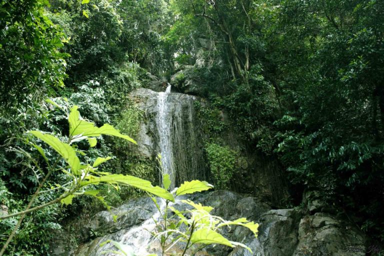 Tan Rua Waterfall Secret Falls 3 768x512