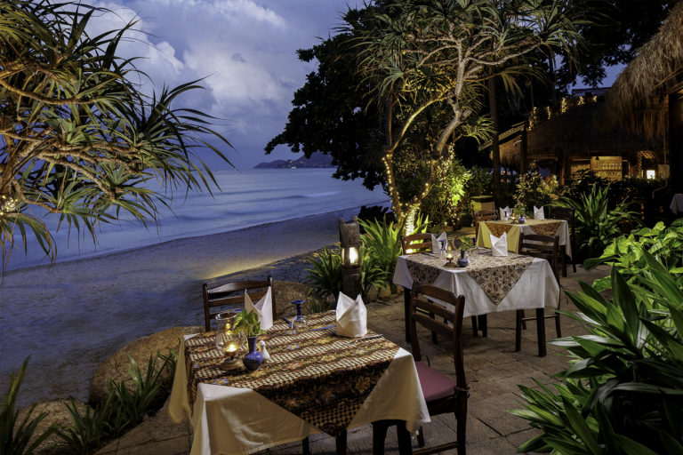 20230822 0I8A4105 768x512