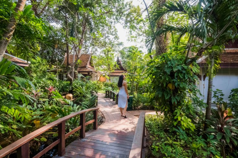 Anavana Forweb 12 768x512