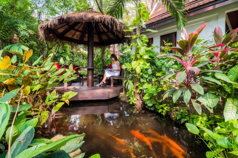 Anavana Forweb 16 768x512