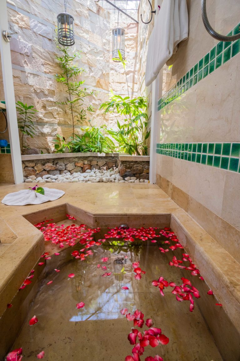 Anavana Forweb 64 768x1152