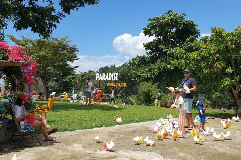 paradise farm samui 768x512