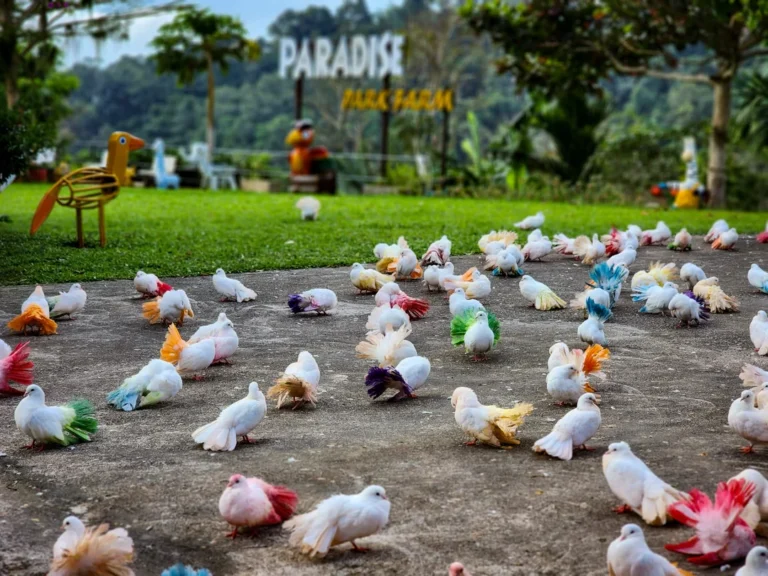 paradise park farm 768x576