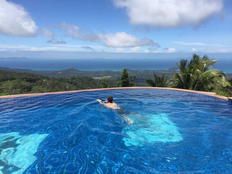 paradise park farm 768x576