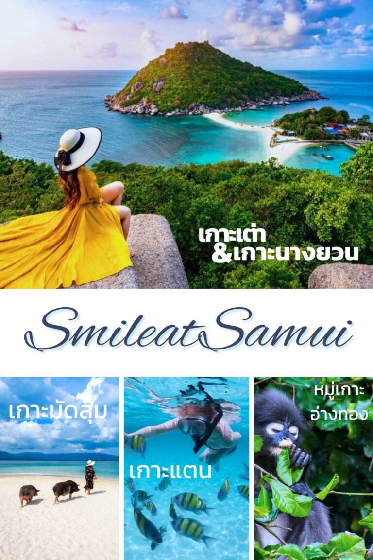 A woman in a yellow dress overlooks Nang Yuan Island. Below are images of pigs on a beach, snorkeling, and a monkey. Text: "Smile at Samui," "Koh Tao & Nang Yuan," "Koh Madsum," "Koh Tan," "Ang Thong Islands.