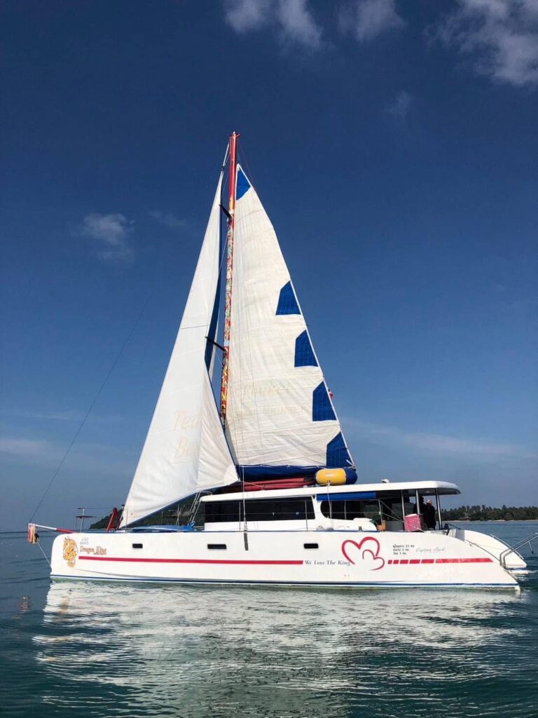 A white catamaran sails on clear blue water under a partly cloudy sky. The boat has a triangular sail with blue accents and a red heart design on the side.